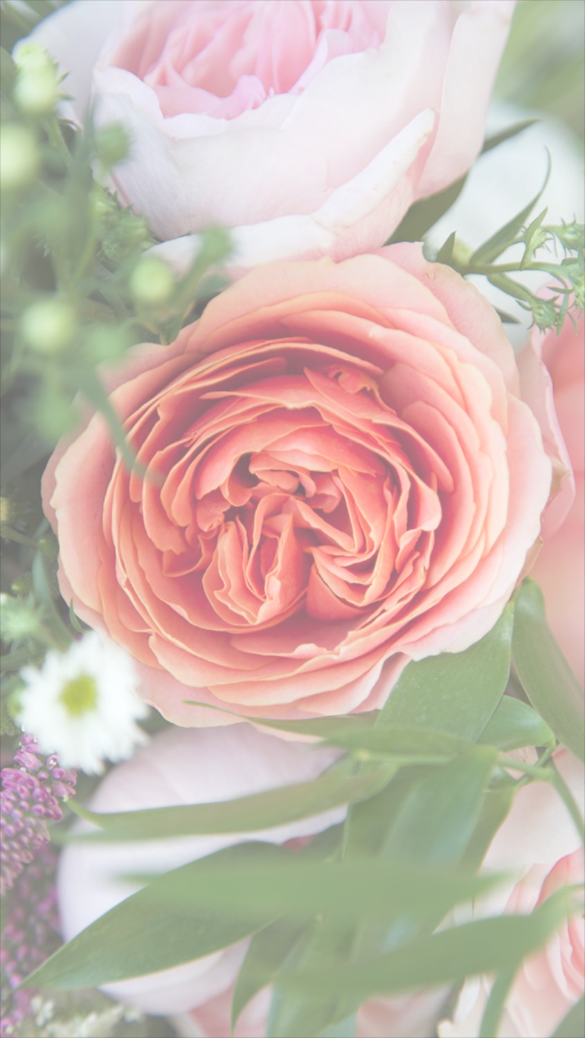845x1500  Summer Flowers Wallpaper for Android - APK Download 