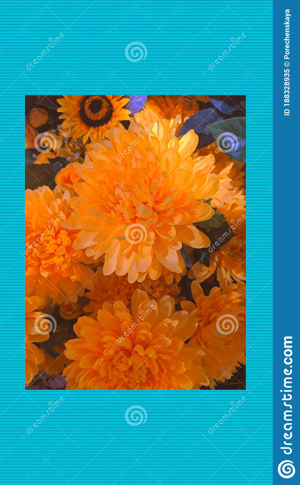 990x1600   Flowers Summer Grass Meadow Mobile Wallpaper - Mobiles Wall