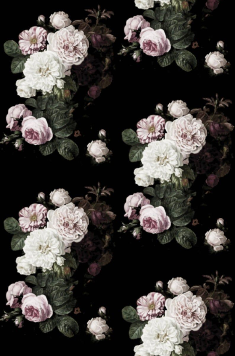 794x1202  Black Vintage Rose стола - Лучшие бесплатные фоны Black Vintage Rose - WallpaperAccess