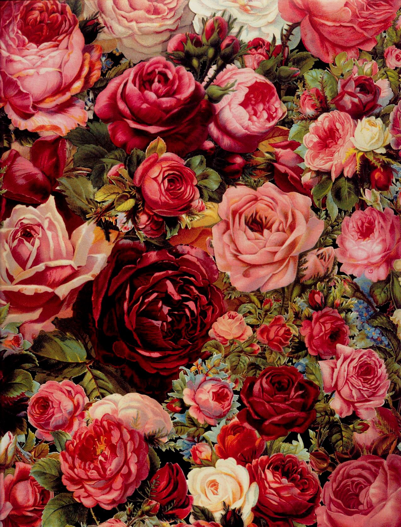 1275x1676  HD Vintage Roses Wallpaper для андроид - Скачать APK