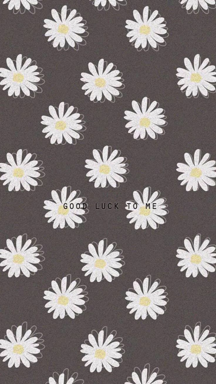 736x1309  28 Hipster Daisy - обои для рабочего стола [СКАЧАТЬ БЕСПЛАТНО] 