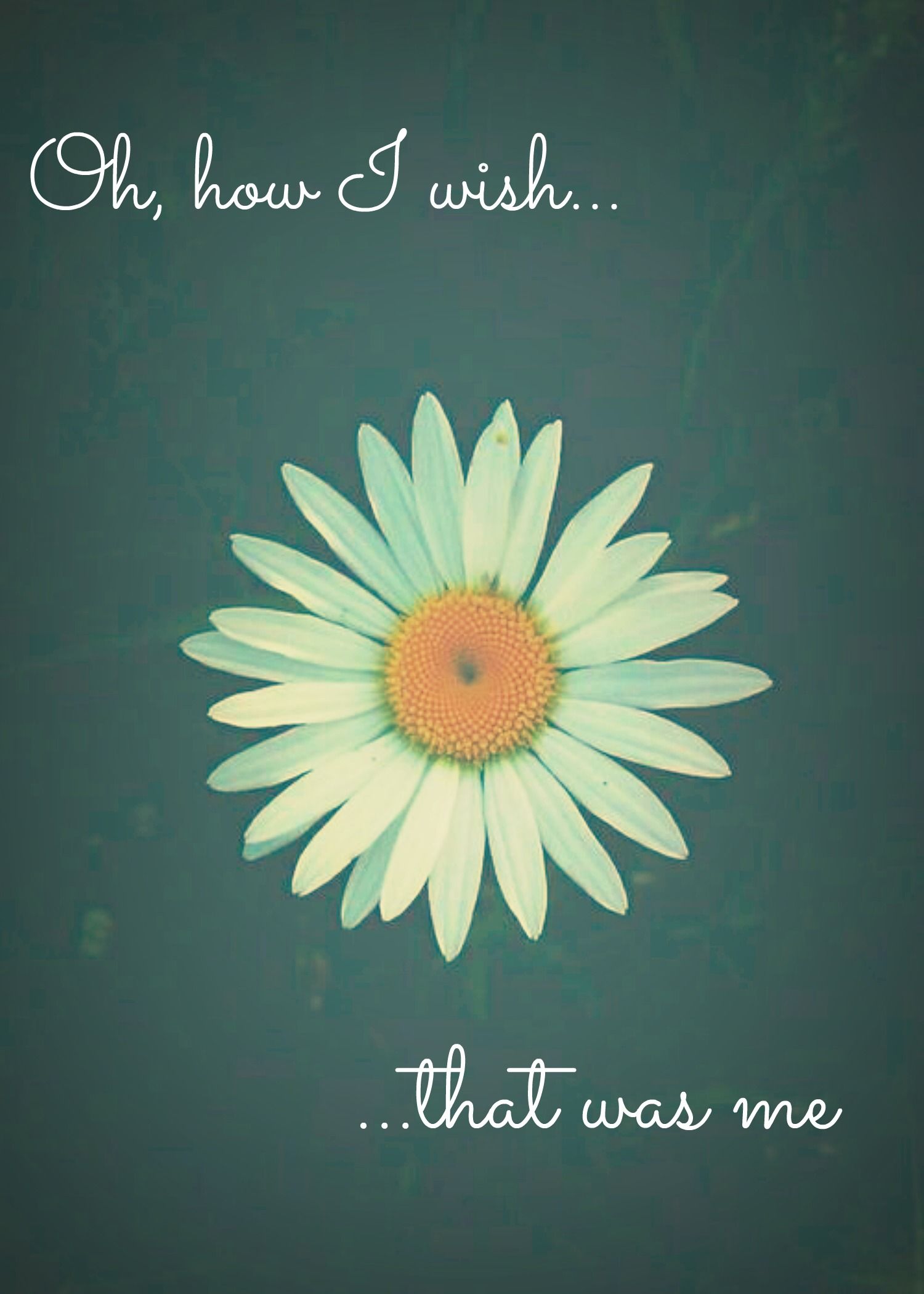 1500x2100   Обои для рабочего стола Hipster Daisy - Лучшие бесплатные фоны Hipster Daisy - WallpaperAccess