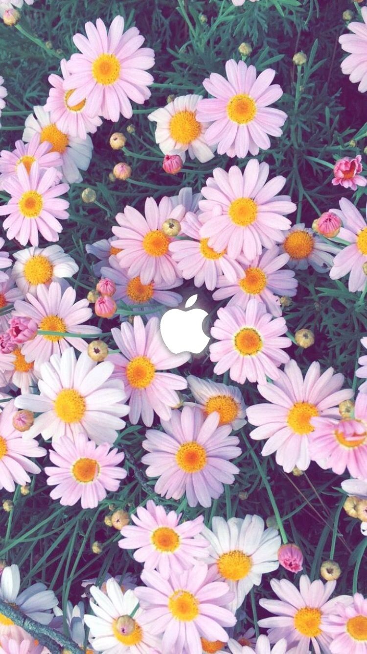 750x1335  Flower iPhone Wallpapers #flowerwallpapers #flower #iphone #wallpapers #iphonewallpapers | Цветочные обои для iphone Цветочные обои Винтажные цветочные фоны