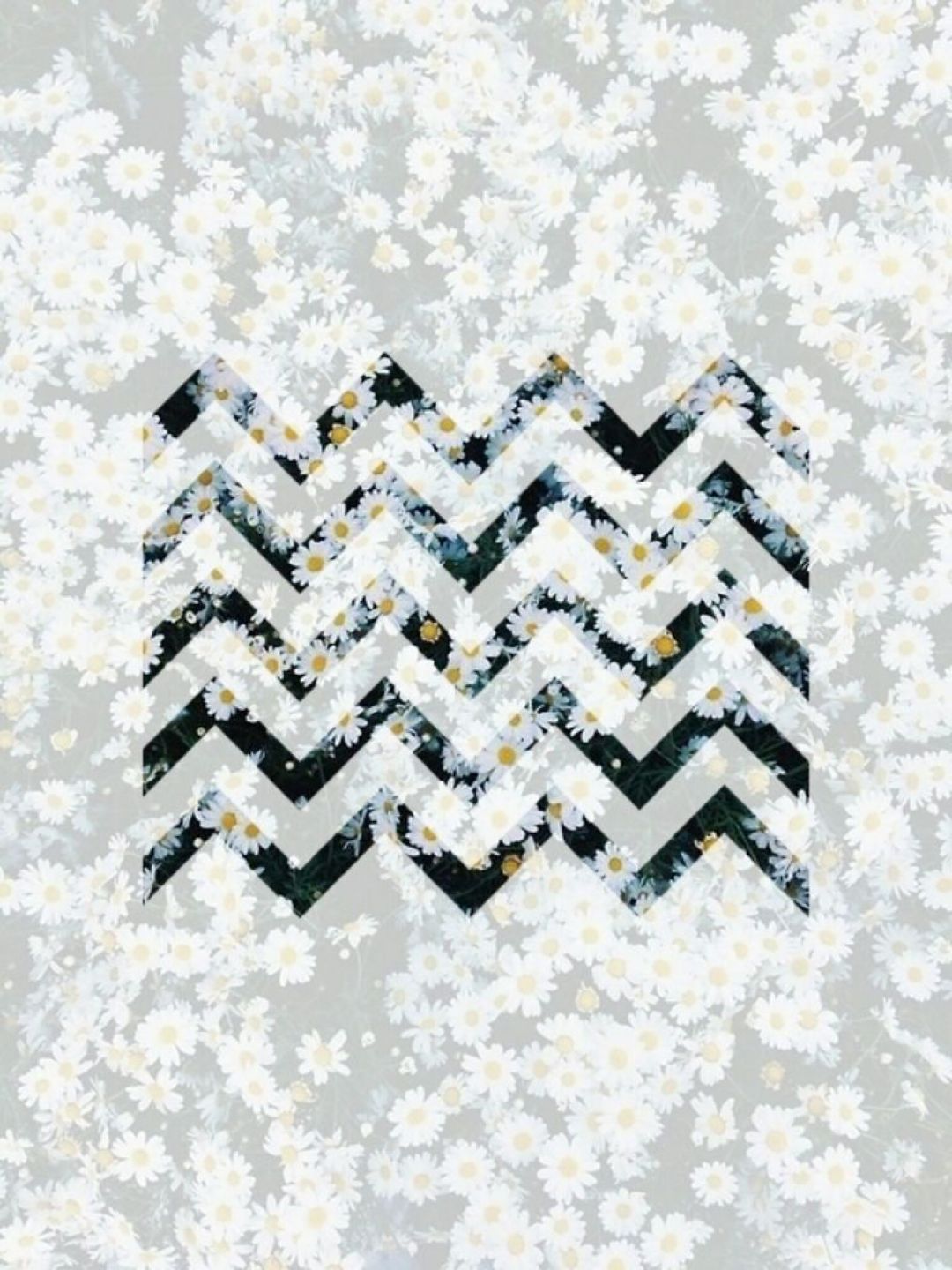 1080x1440   ✅ [25+] Hipster Daisy - Android iPhone Desktop HD Backgrounds / Wallpapers (1080p 4k) (1080x1440) (2021) 