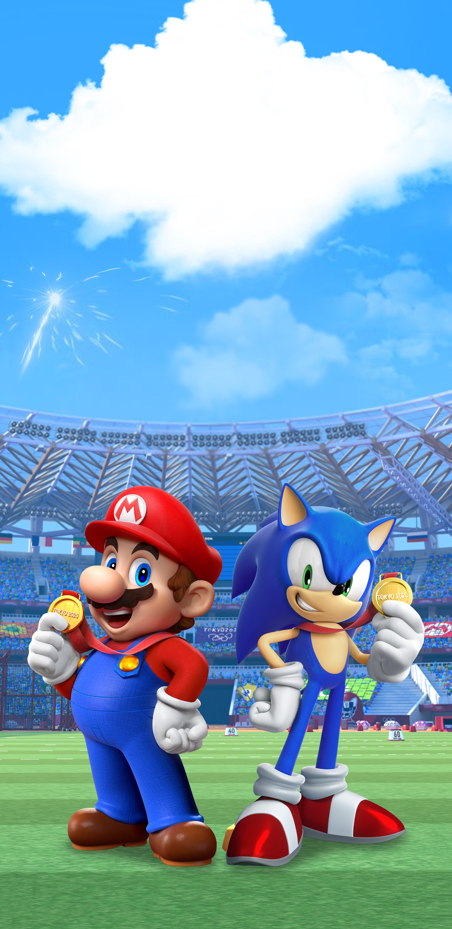 1440x2960  Mario \ u0026 Sonic at the Olympic Games Tokyo 2020 Promo Art Wallpaper | Кот с моноклем 