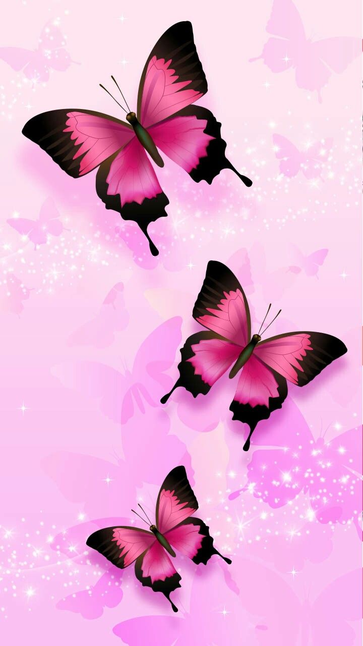 720x1280  Butterfly Phone Wallpaper | Бабочки обои Бабочки обои iphone Бабочки обои фоны