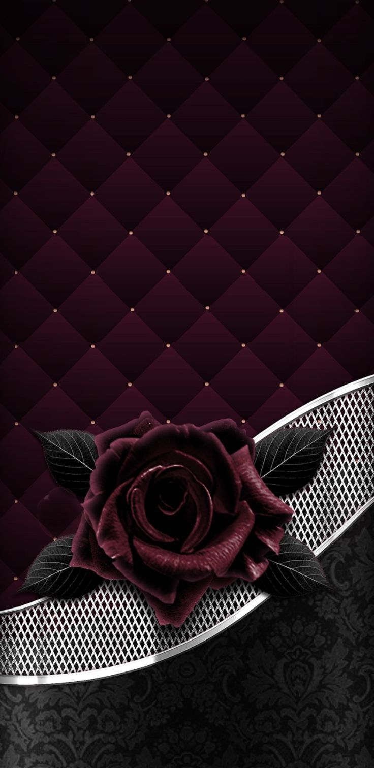 736x1512  Pin авторства 1881 Mart on Rose | Цветочные обои Iphone wallpaper Rose wallpaper