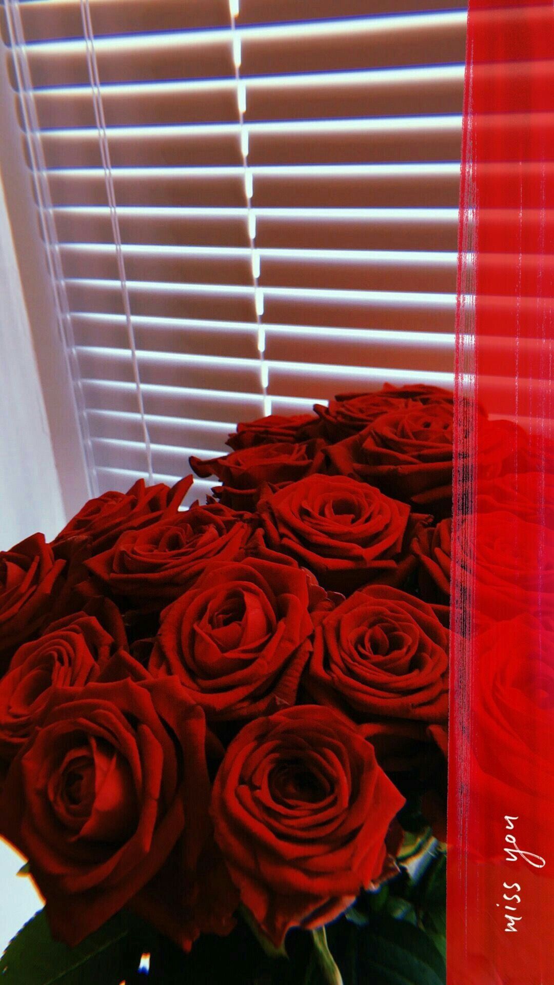 1080x1920  Идеи для фото в инстаграм. Photo ideas. Fashion look 2018 . | Photography  Photo Celebrities