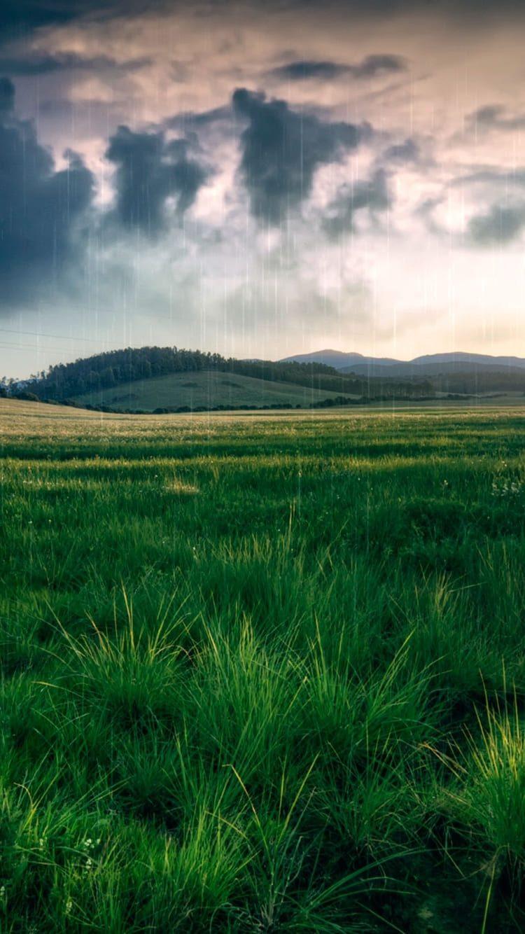 750x1334  Spring живые обои для android. Весенние HD обои (iPhone и Android) скачать бесплатно. Обои для рабочего стола Spring space phone