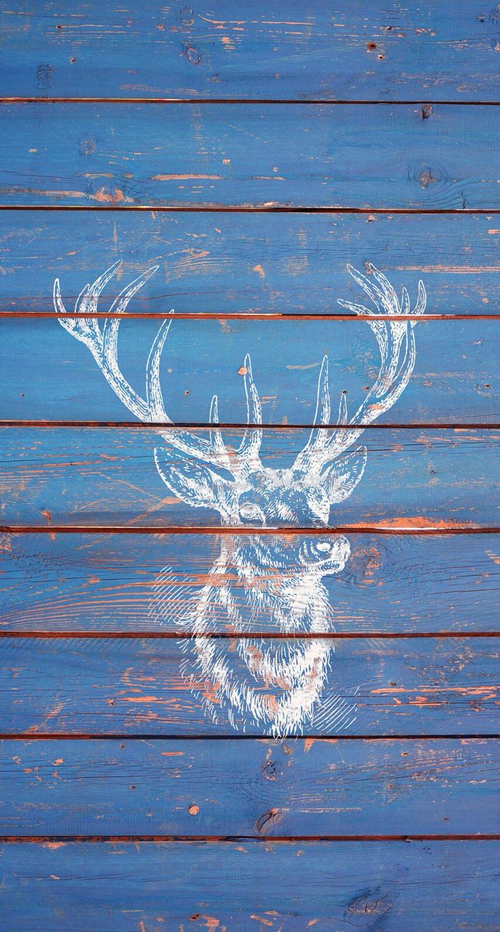 716x1334  Deer iPhone Wallpapers - Лучшие бесплатные фоны с оленями для iPhone - WallpaperAccess