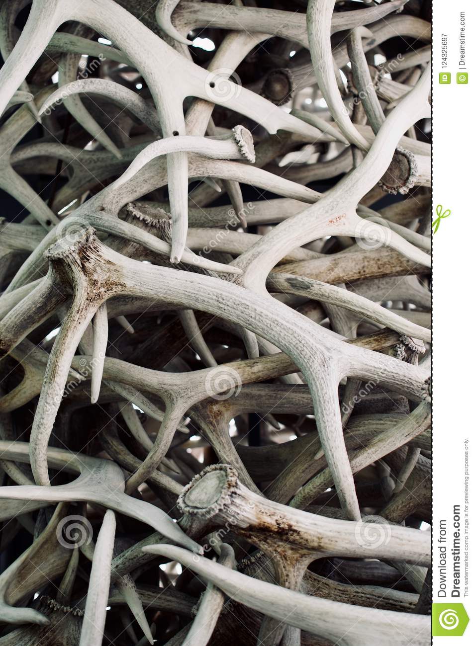 957x1300  1242x2688 Antlers Movie Iphone XS MAX Wallpaper HD Movies 4K Wallpapers Images and Background__Deer iPhone Wallpapers - Лучшие бесплатные фоны с оленями для iPhone - WallpaperAccess