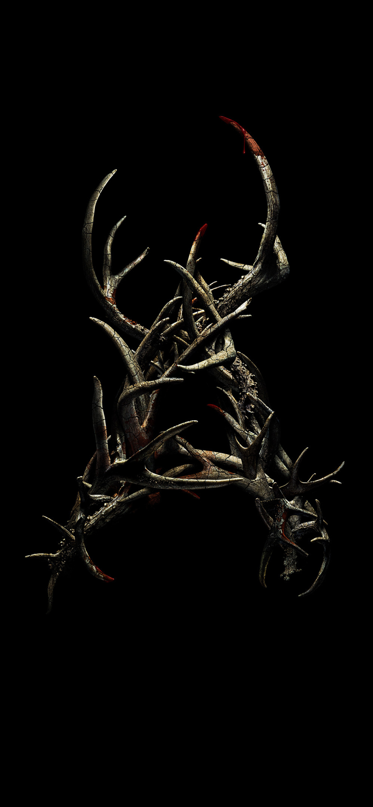 1242x2688   Бесплатные обои Олень Лиса Сова енот для iPhone и Android - ONA