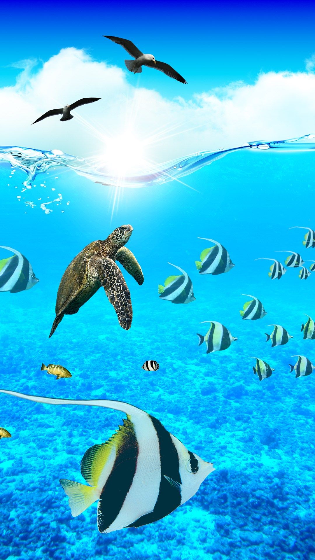 1080x1920 Ocean Aquarium | Природа обои Аквариум живые обои HD обои природа