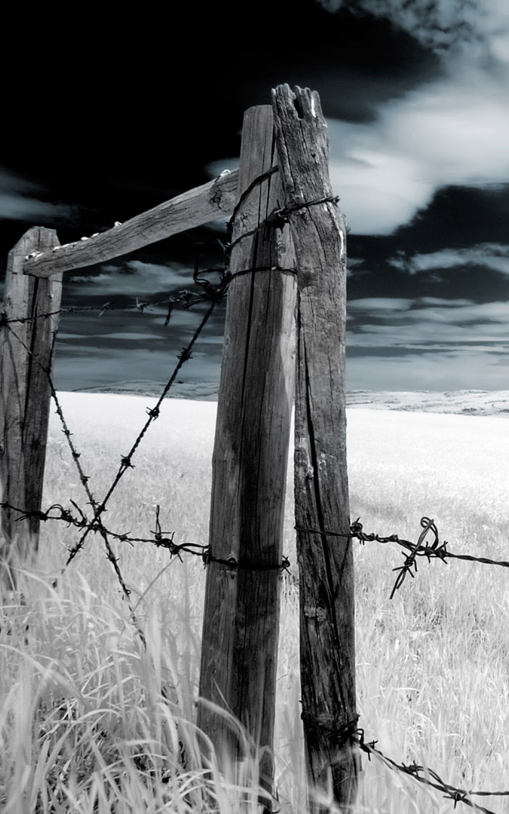 1000x1600   Dark Wood Fence Barbwire Android Wallpaper скачать бесплатно
