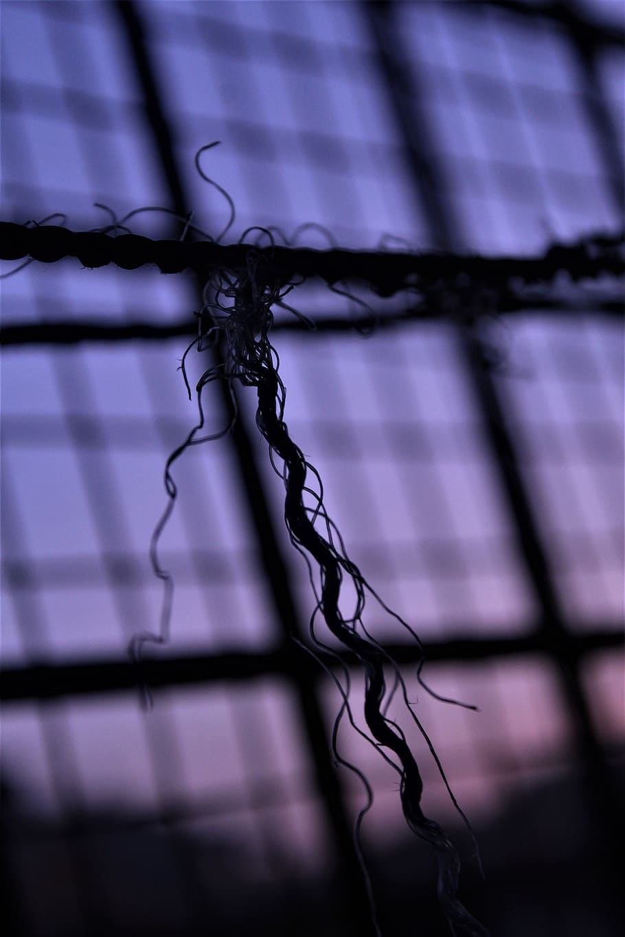 910x1365  HD обои: проволока узел колючей проволоки текст спиральная катушка почерк каллиграфия | Скачать бесплатно обои 57461 [1920x1080] из колючей проволоки для рабочего стола Мобильный \ планшет | Изучите 71+ обоев из проволоки Barb Wire | Обои с колючей проволокой Обои с курицей Обои с рисунком из проволоки 