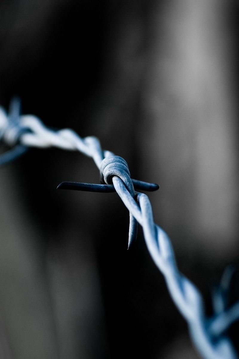 800x1200   Скачать обои 800x1200 колючая проволока морозный металл iphone 4s / 4 для параллакса hd фон 