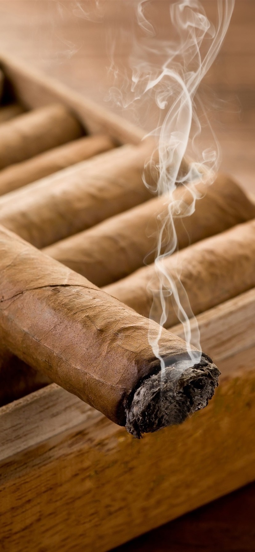 828x1792  Smoke cigars 1080x1920 iPhone 8/7/6 / 6S Plus wallpaper background image image