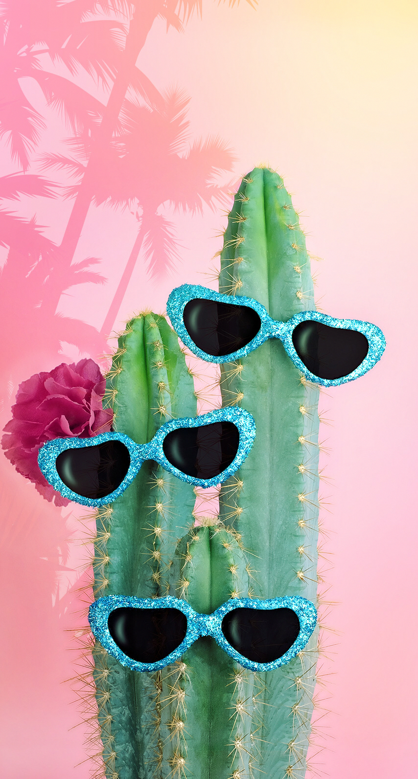 854x1590  Nerd Emoji With Glasses Phone Wallpaper