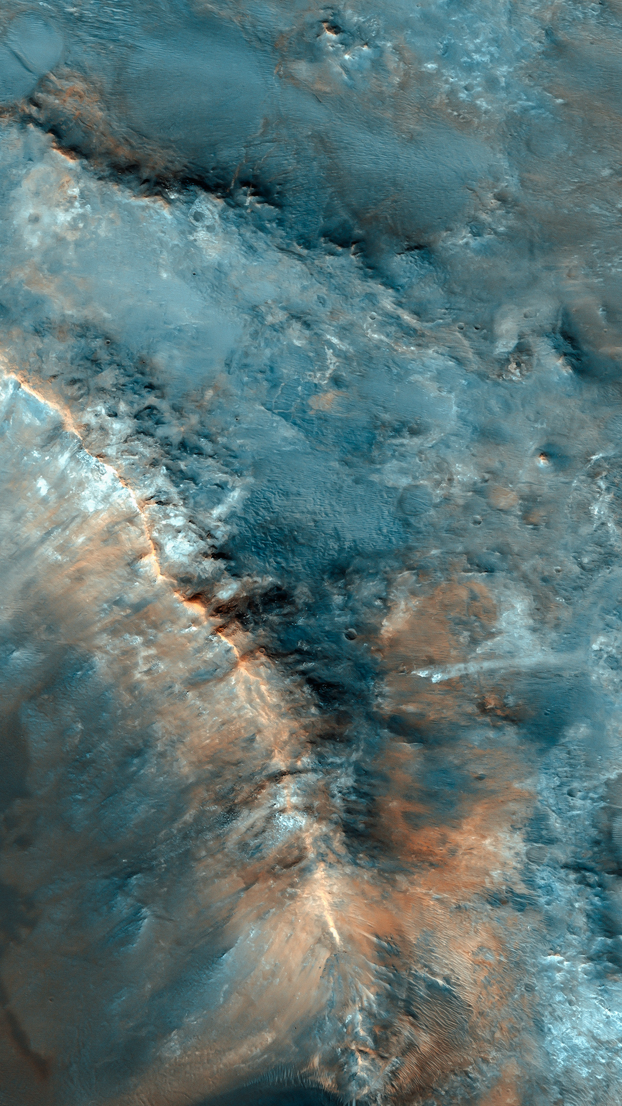 1242x2208  Psiu Puxa Wallpapers 