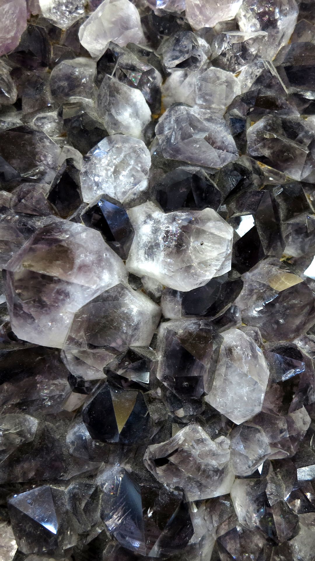 1080x1920   Увлекательные образования | HD обои для телефона Обои Обои для телефона 