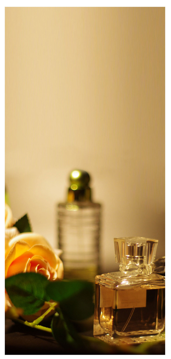 650x1361  Plant обои для мобильного телефона фоновые изображения скачать бесплатно-400565923 -Lovepik.com 