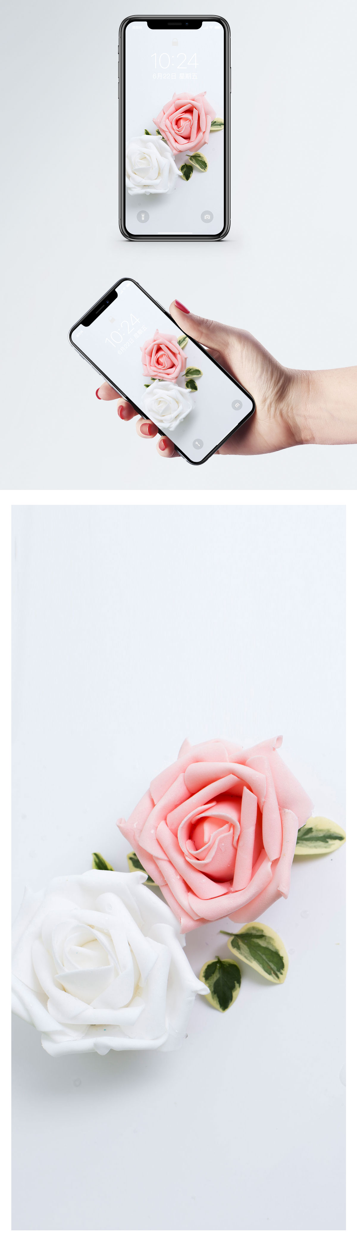 1200x4160   Простой цветочный фон Обои для мобильного телефона скачать бесплатно-400389550 -Lovepik.com 