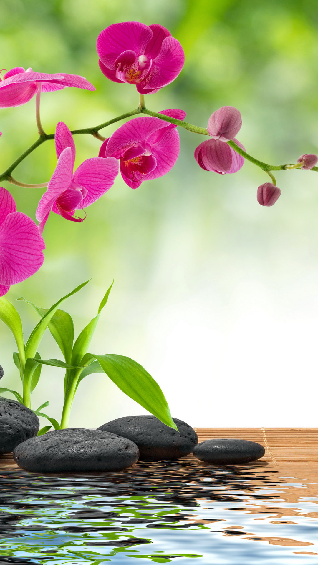 1080x1920   Жёлтый Эстетический Tumblr Iphone Wallpaper Hd | Спа-отель «Австрия» Luxury