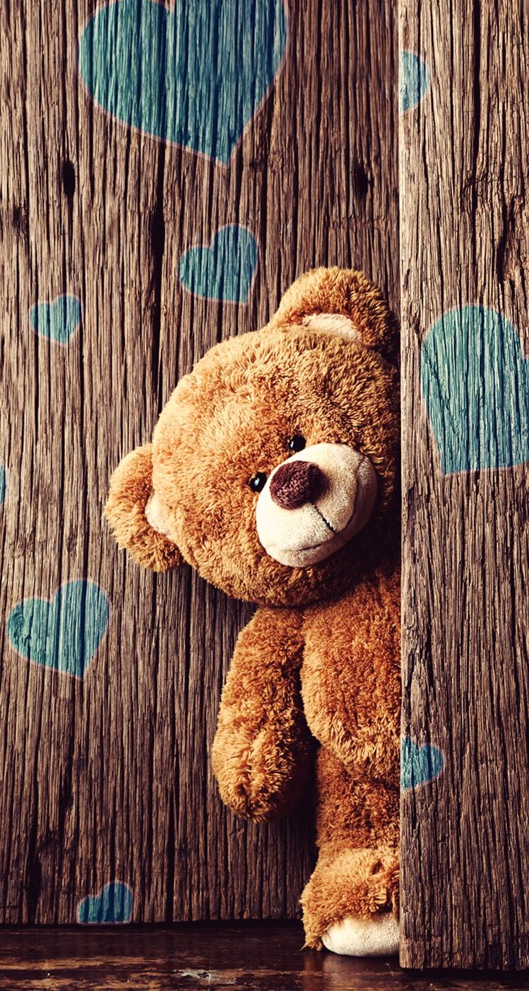 744x1392   Pin by Wallpapers on TeddyBear1 | Мишка Тедди обои Мишка Тедди картинки Мишка Тедди 