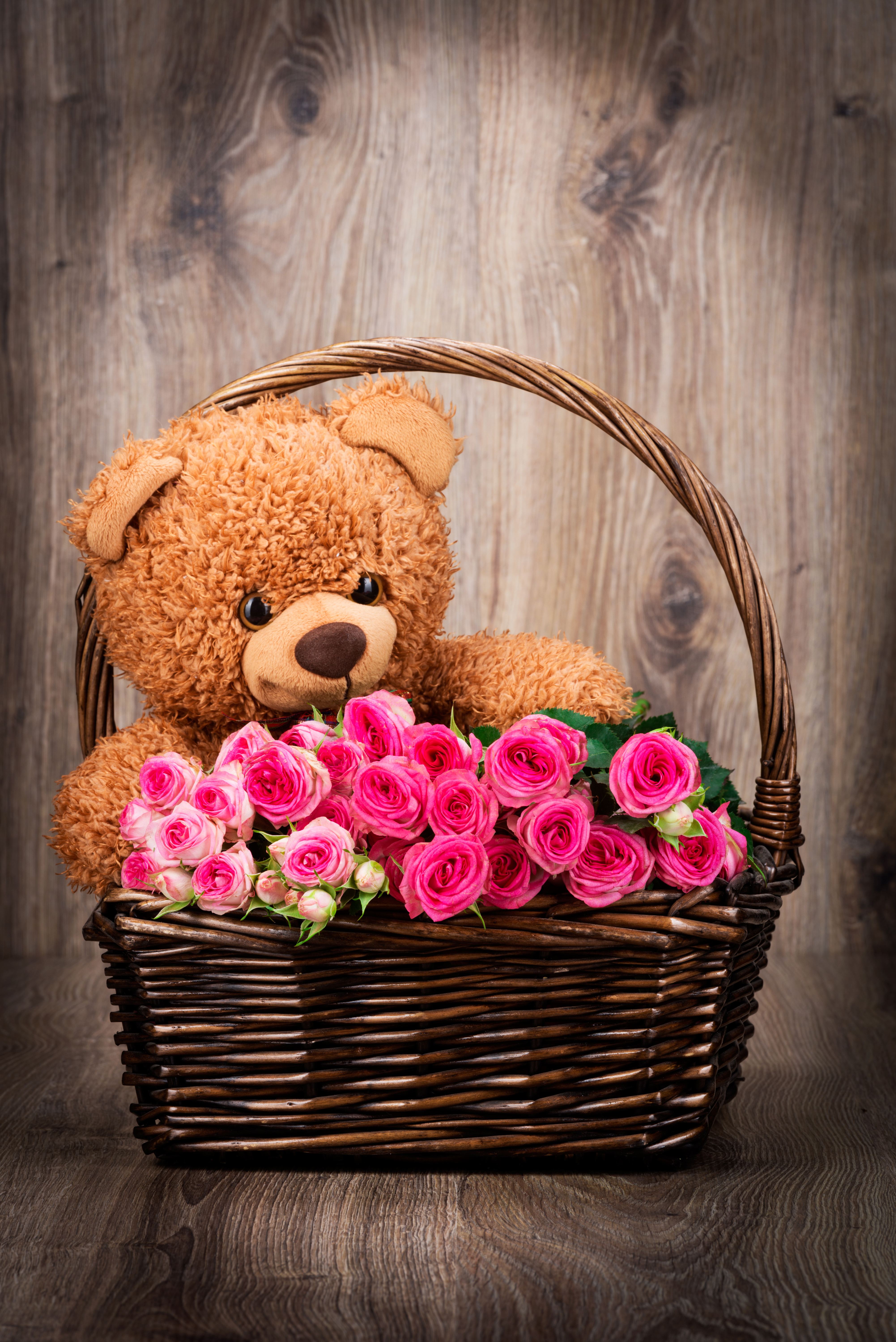 4005x6000  Cute Teddy Bear Wallpaper (64+ картинки) 