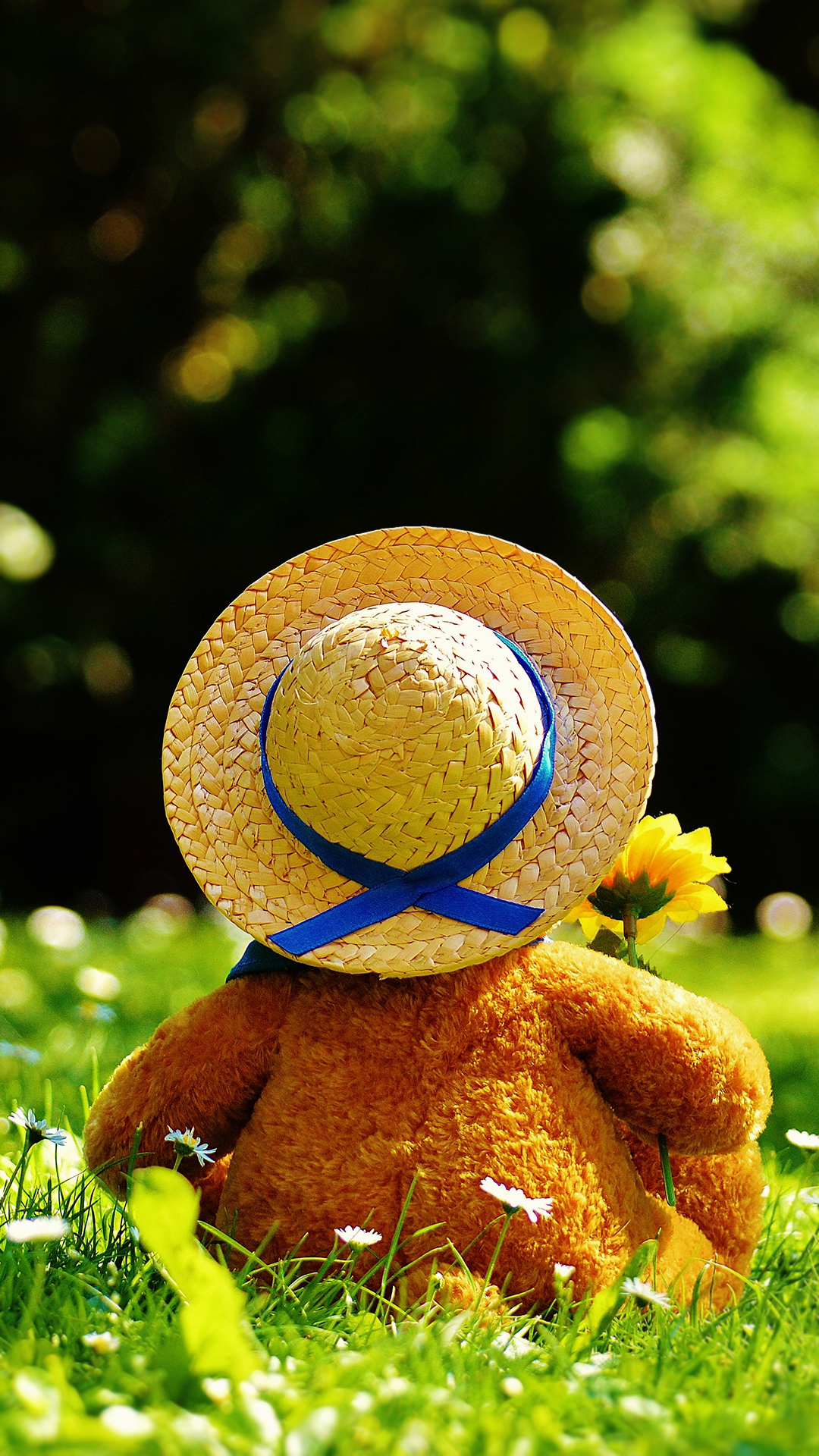 1080x1920  Wallpaper Teddy Bear Heart Valentine Day Love - Teddy Bear Wallpaper For Phone - 938x1668 Wallpaper - teahub.io 