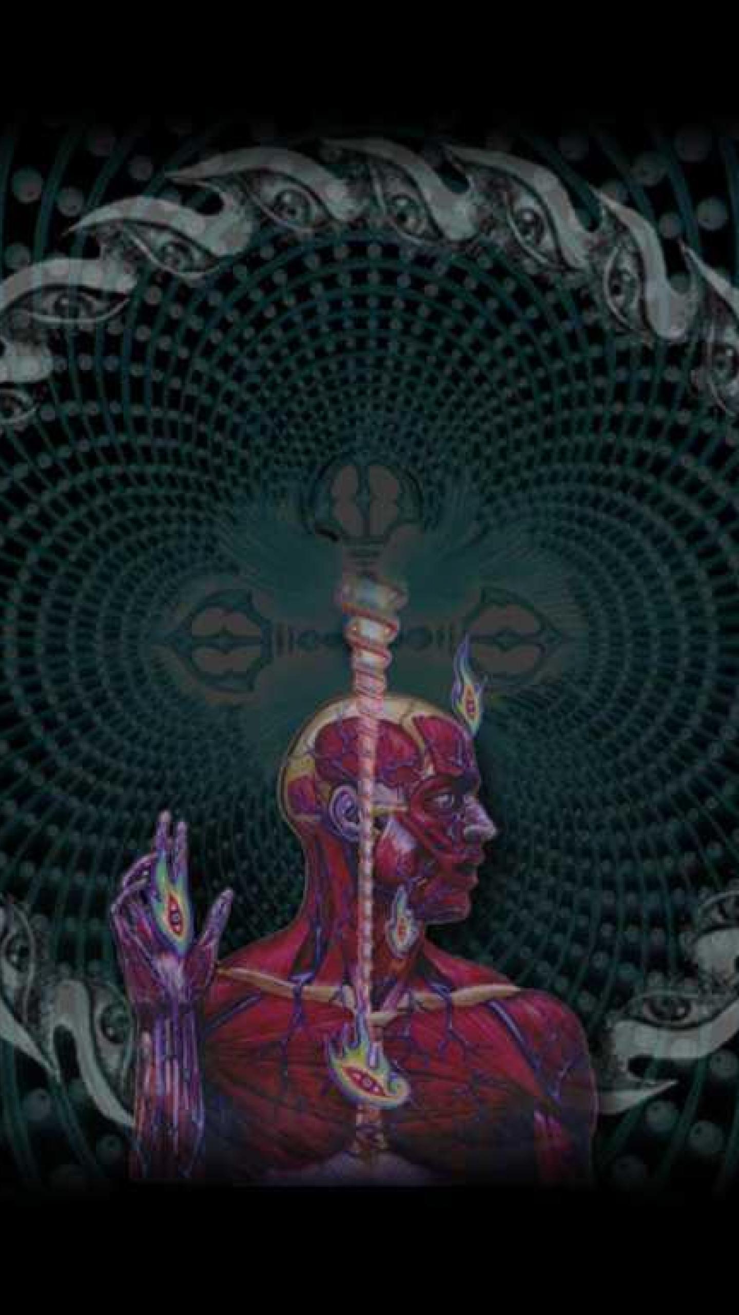 1440x2560  Tool Band мобильные обои - Обои Cave