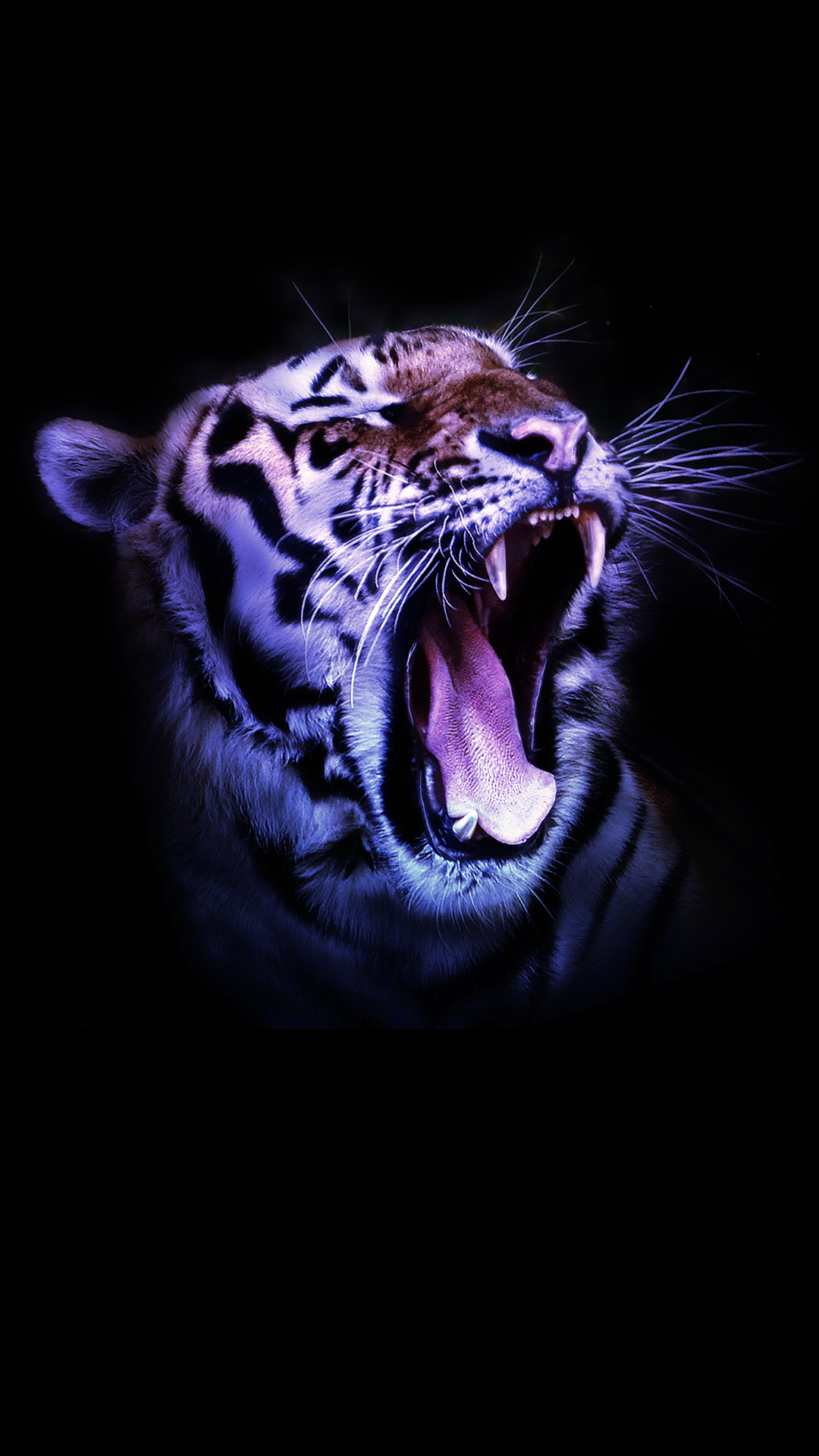 1080x1920 Ultra Hd Wallpapers For Mobile - Full Hd Tiger Wallpaper Hd For Mobile - 1280x1920 - Загрузить HD обои - WallpaperTip 