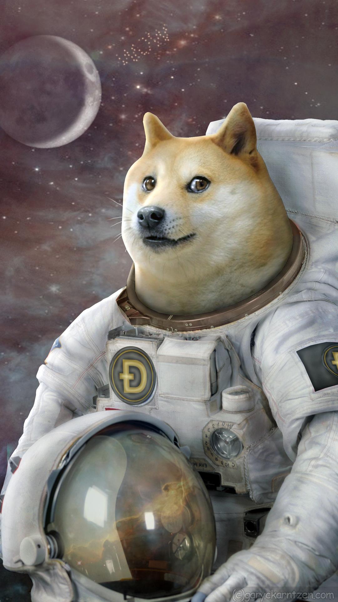 1080x1920  Doge Phone Wallpapers - Лучшие бесплатные фоны Doge для телефона - WallpaperAccess