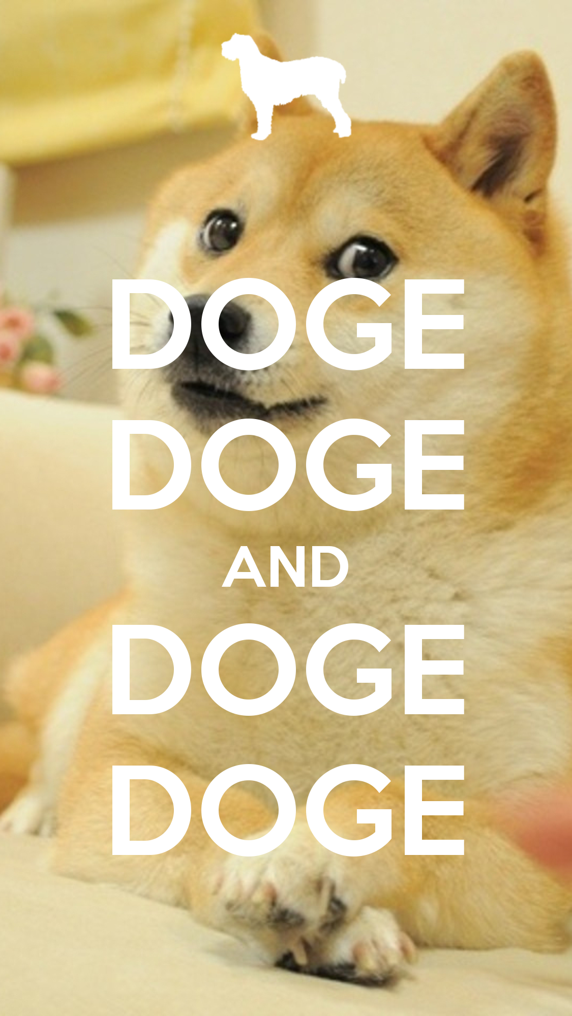 1125x2000  doge doge and doge doge | Doge meme Doge Corgi wallpaper