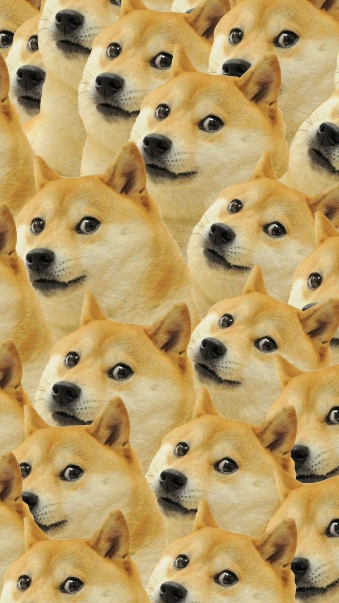 1080x1920  Doge Wallpaper Hd On Home Screen на kecbio.com. #iphone #android #wallpaper #Doge | Собака обои Собака обои iphone Doge meme
