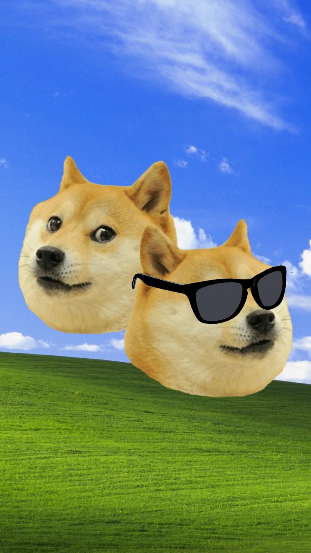 1080x1920  Doge Phone Wallpapers - Лучшие бесплатные фоны телефона Doge - WallpaperAccess 