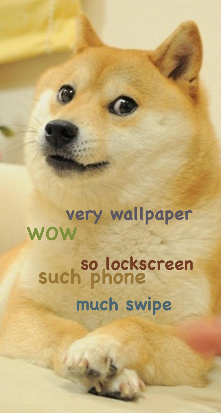 744x1392   47+] Doge Meme Wallpaper на WallpaperSafari