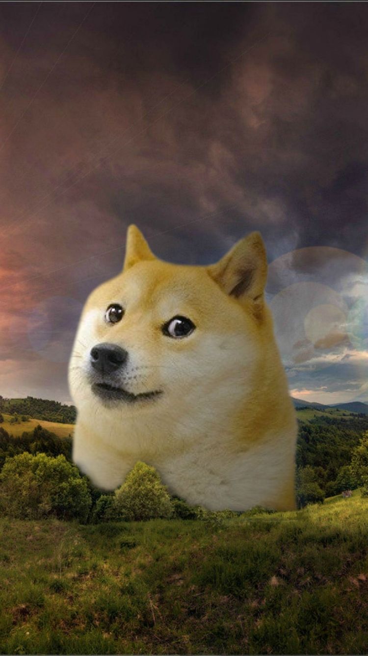 750x1334  Doge Phone Wallpapers - Лучшие бесплатные фоны для телефона Doge - WallpaperAccess