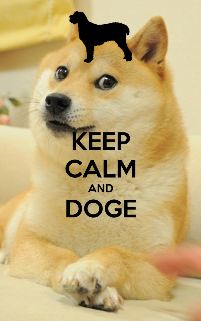 800x1280  Doge Meme Обои - Обои Cave