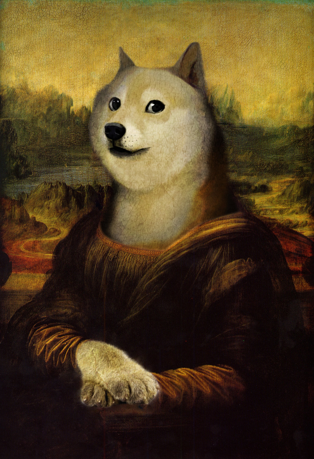 1024x1497  Best 48+ фонов Doge для компьютера на HipWallpaper | Обои для компьютера Красивые обои для компьютера и милые обои для компьютера 