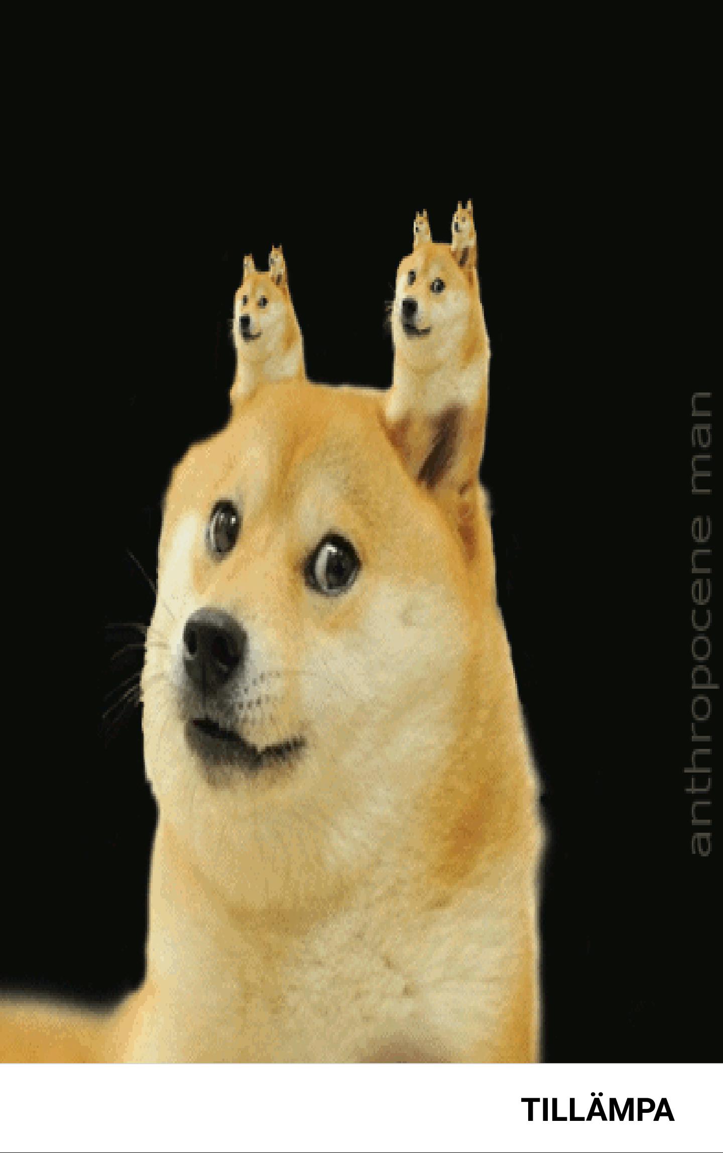 1440x2297   Собаки 