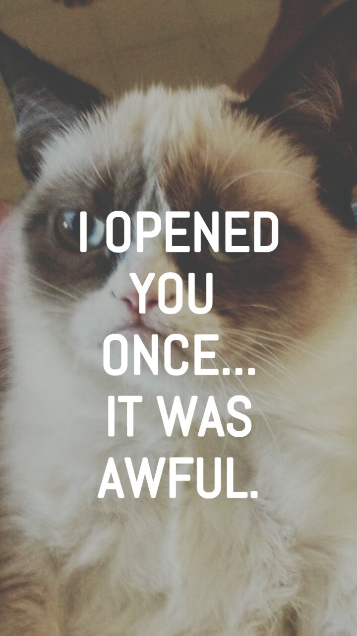 720x1280  Grumpy Cat Background Iphone - Обои 720x1280 - teahub.io 
