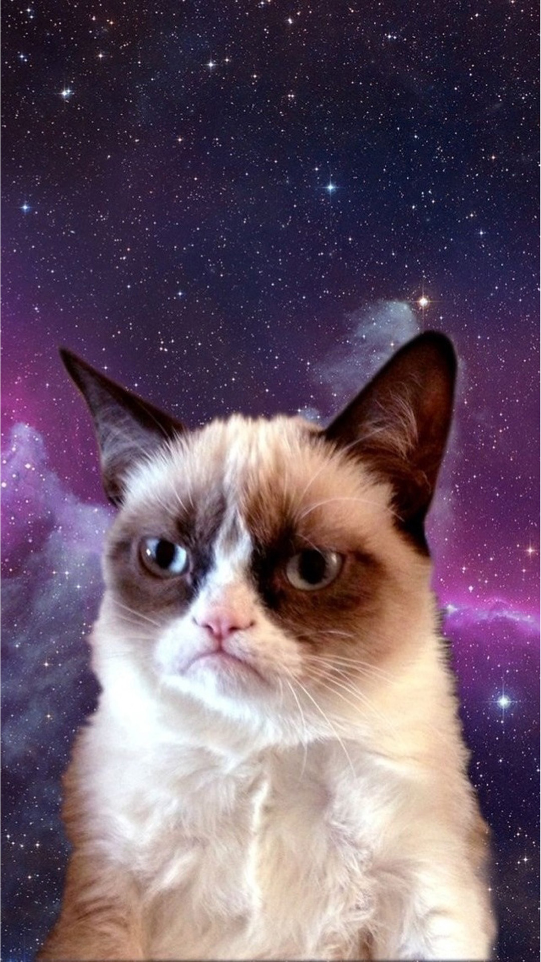 1080x1920  Interesting Iphone 6 Plus Archives - Grumpy Cat Phone Background - Обои 1080x1920 - teahub.io 