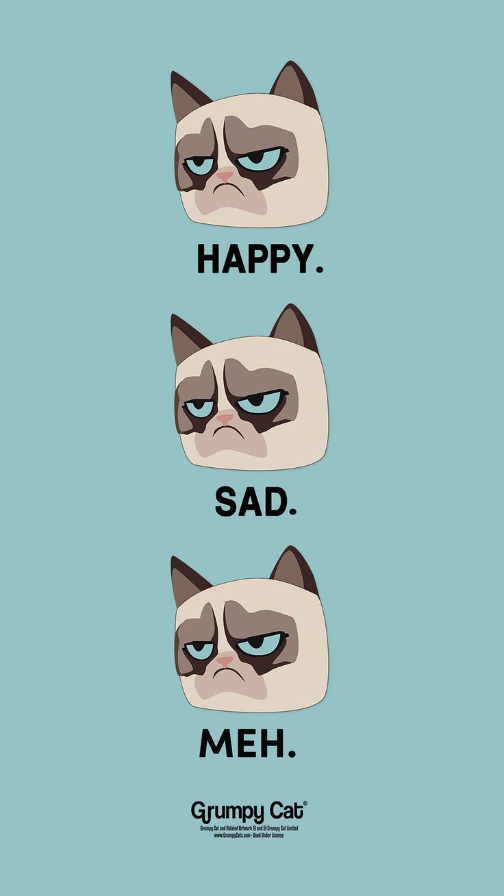736x1308  Facial; самая веселая кошка в Интернете дает нам самые сварливые и смешные реакции… | Grumpy cat cartoon Cat wallpaper Grumpy cat