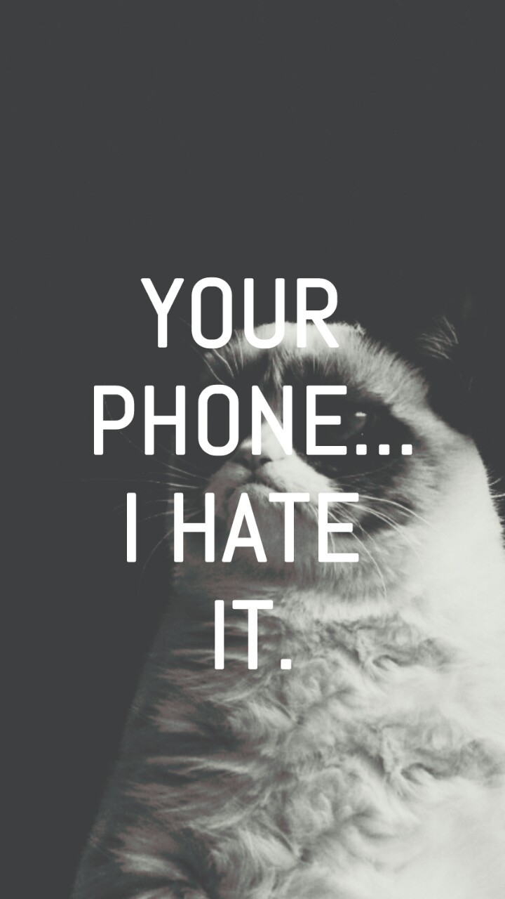 720x1280   ❤️ [БЕСПЛАТНО] HD Cat Wallpaper -Grumpy Cat -Funny Cat❤️ для Android - APK Download