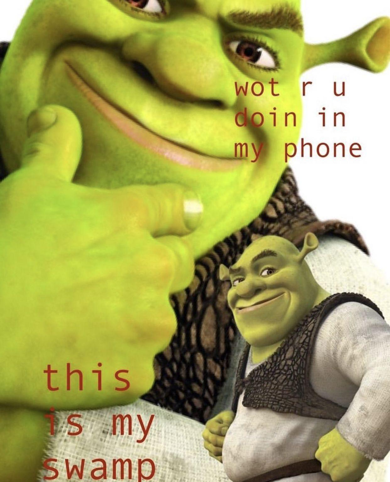 1242x1533  Shrek Memes Обои - Обои Cave