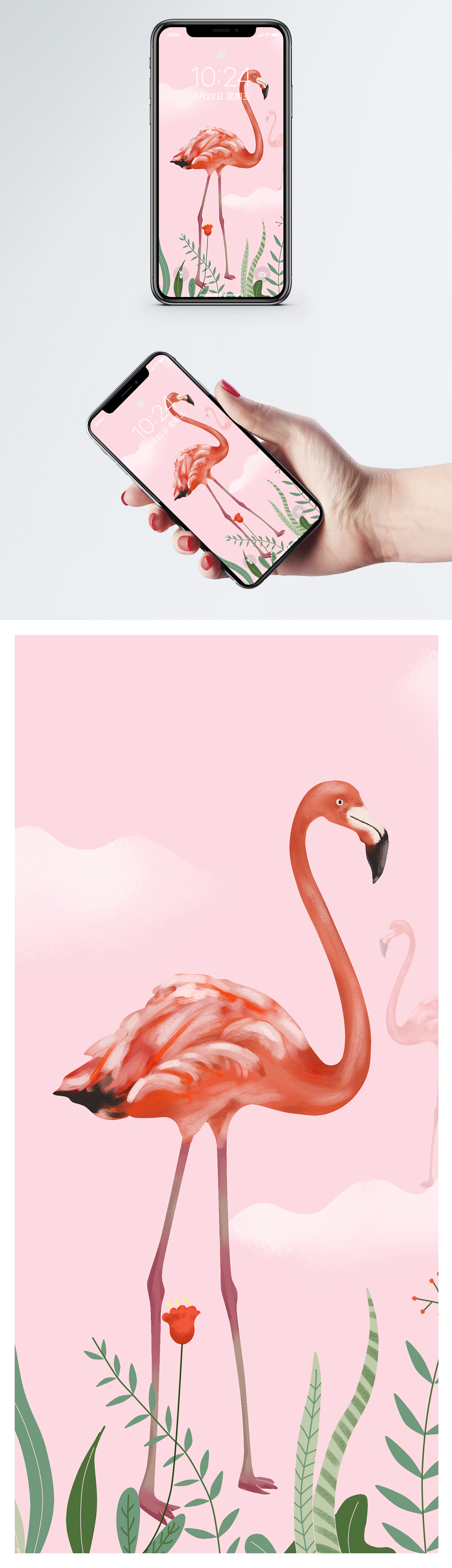 1200x4160   Симпатичные обои с фламинго - Лучшие бесплатные милые фоны с фламинго - WallpaperAccess 