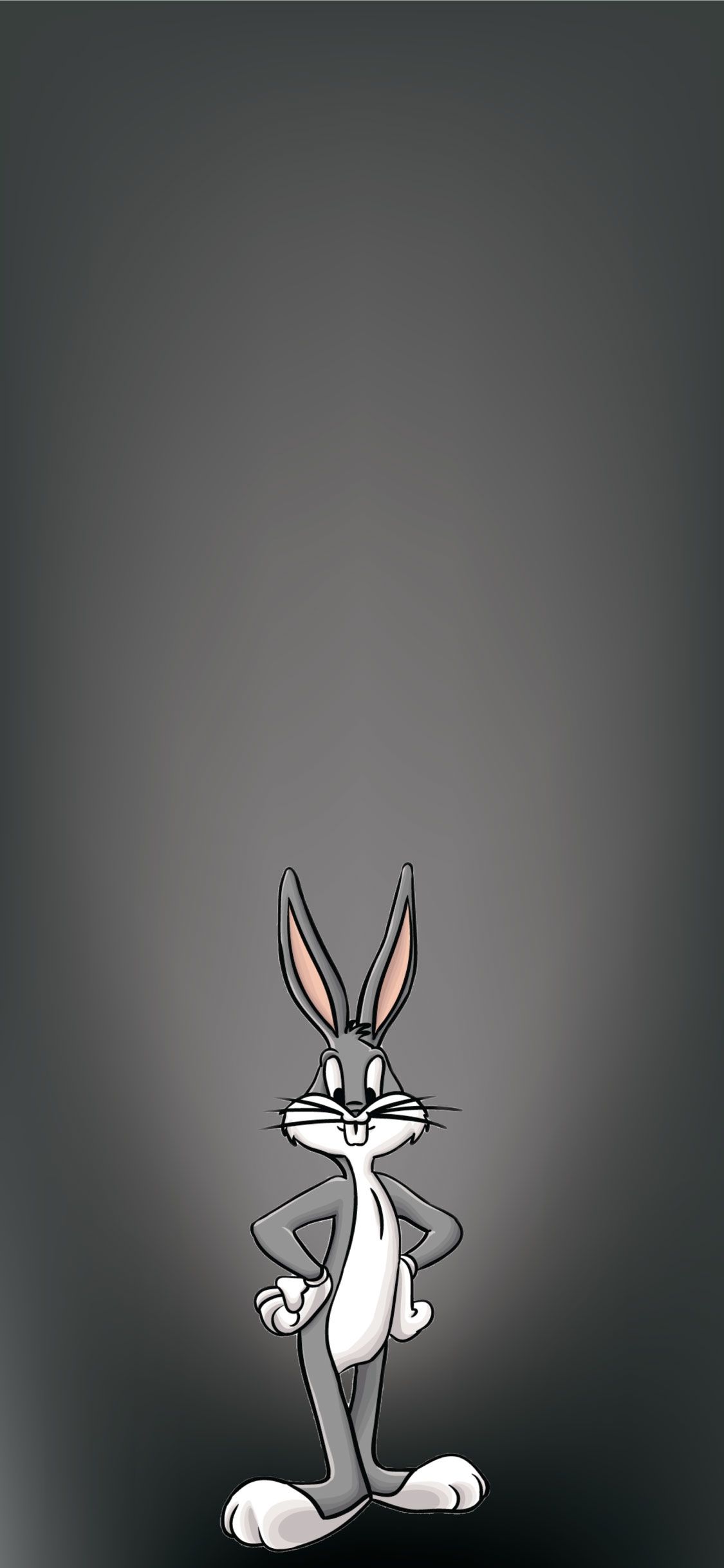 1125x2436 iPhone X wallpaper | Обои кролика Looney tunes обои драконий шар обои iphone