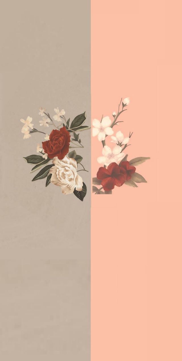 640x1264   wallpaper #phone #iphone #android #simple #aesthetic #pretty #flowers #roses #pink #vintage - #aesthetic… | Hayvan duvar kağıdı 