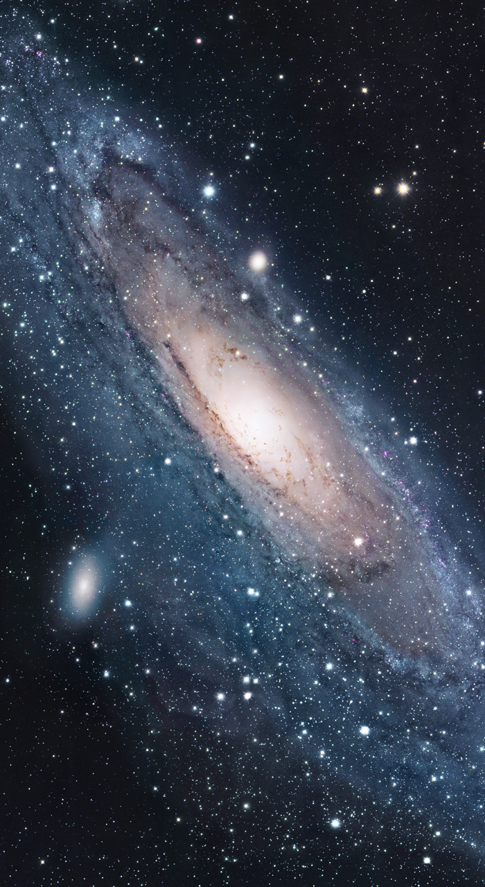 700x1280   35+ обоев телефона Хаббла - Обезьяны в космосе